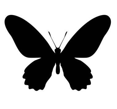 Kelebek simgesi, beyaz arkaplanda izole