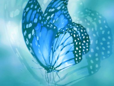 Doğal arkaplan ve doğal kelebek