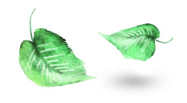 Beyaz arka planda suluboya yapraklar. Ayarla