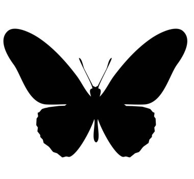 Kelebek simgesi, beyaz arkaplanda izole