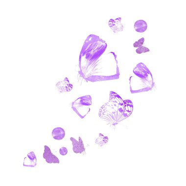 Beyaz kelebek sürüsü.