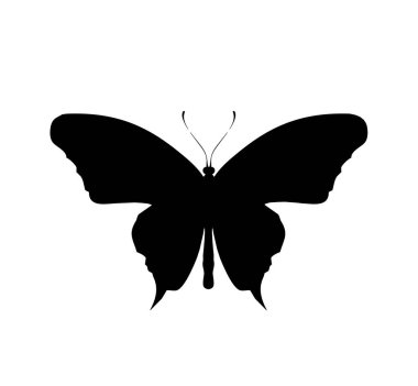 Kelebek simgesi, beyaz arkaplanda izole