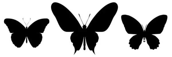 Τρεις Μαύρες Πεταλούδες Εικονίδιο Απομονώνονται Λευκό Φόντο — Φωτογραφία Αρχείου