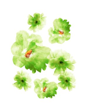 Grup olarak suluboya çiçekler, beyaz arkaplanda izole