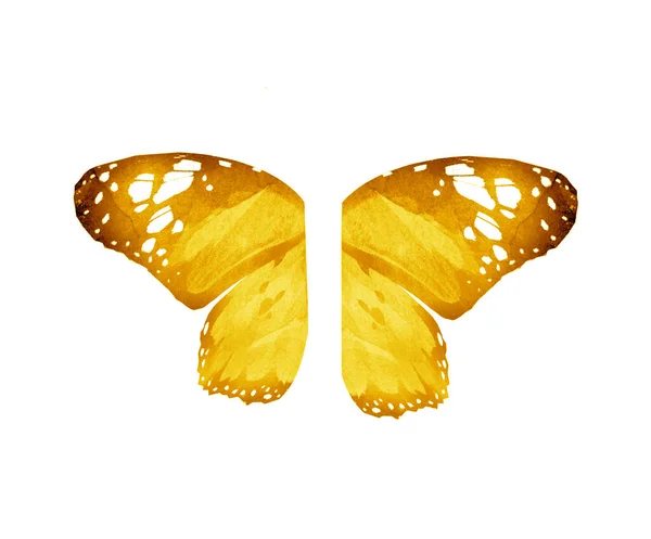 Akwarela Skrzydła Motyl Izolowane Białym Tle — Zdjęcie stockowe
