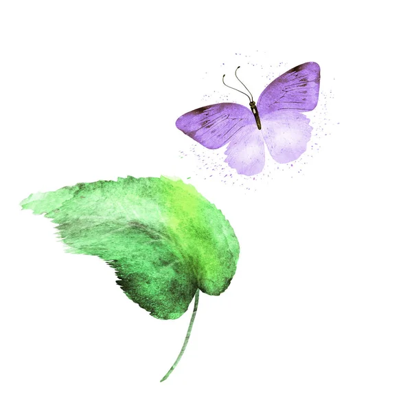 白色背景上有蝴蝶的水彩叶 — 图库照片