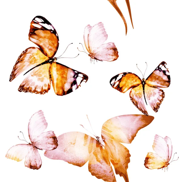 Aquarel Naadloos Patroon Met Vlinders — Stockfoto
