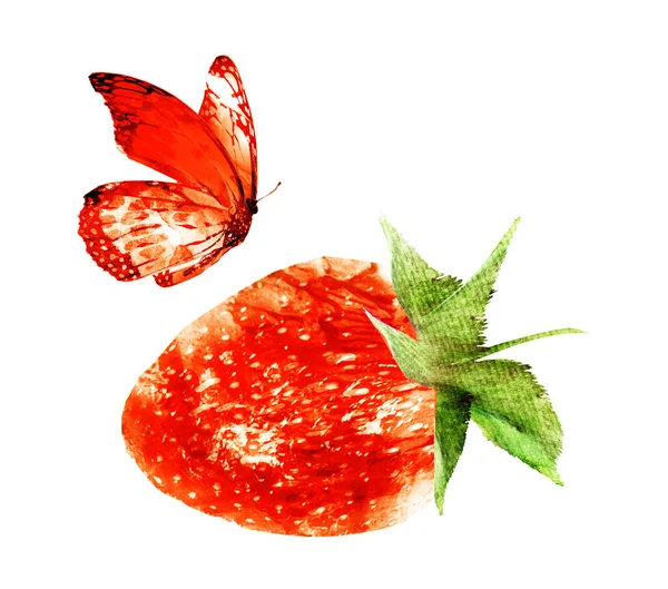 Aquarell Erdbeere Mit Schmetterling Auf Weiß — Stockfoto