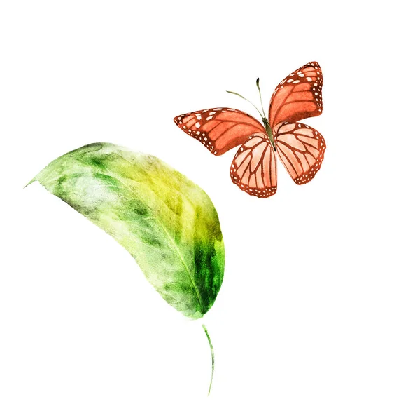 Daun Watercolor dengan kupu-kupu pada latar belakang putih — Stok Gambar Daun Watercolor Dengan Kupu Kupu Pada Latar Belakang Putih Stok Gambar