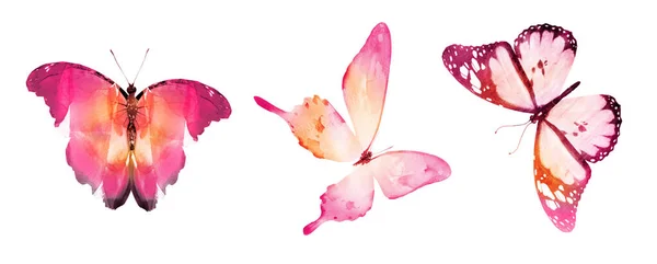Tre Akvarell Fjärilar Isolerade Vit Bakgrund — Stockfoto
