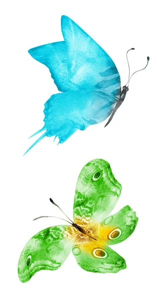 Two Watercolor Butterflies Isolated White Background Bright Collection — Stock Photo, Image