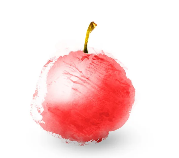 Akvarell Äpple Vitt — Stockfoto