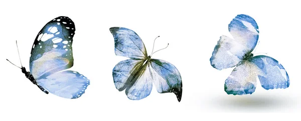 Τρεις Πεταλούδες Ακουαρέλες Απομονωμένες Λευκό Φόντο — Φωτογραφία Αρχείου