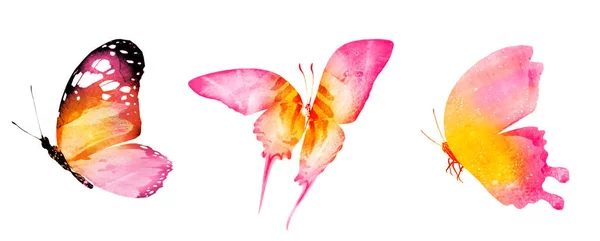 Három Akvarell Pillangók Elszigetelt Fehér Háttér — Stock Fotó