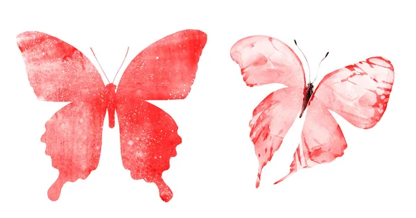 Dos Mariposas Acuarela Aisladas Sobre Fondo Blanco Colección Brillante —  Fotos de Stock