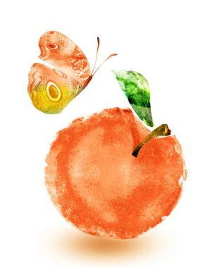 Beyaz üzerine suluboya elma ve kelebek