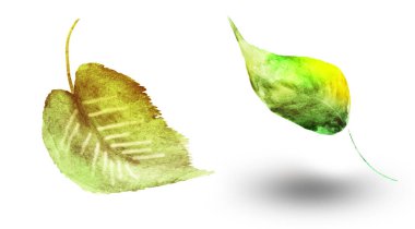 Beyaz arka planda suluboya yapraklar. Ayarla