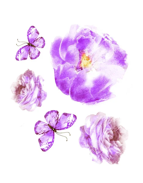 Aquarel Bloemen Vlinders Als Groep Geïsoleerd Witte Achtergrond — Stockfoto