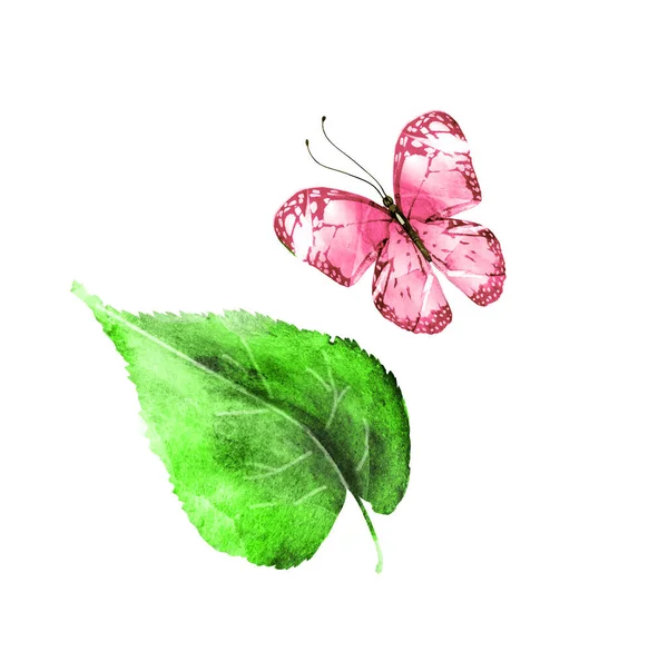 Watercolor Leaf Butterfly White Background — Stock Photo, Image