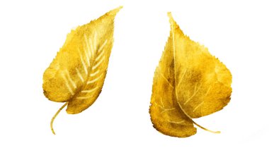 Beyaz arka planda suluboya yapraklar. Ayarla