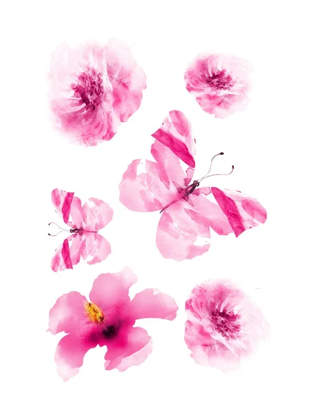 Watercolor Flowers Butterflies Group Isolated White Background — Stock Photo, Image