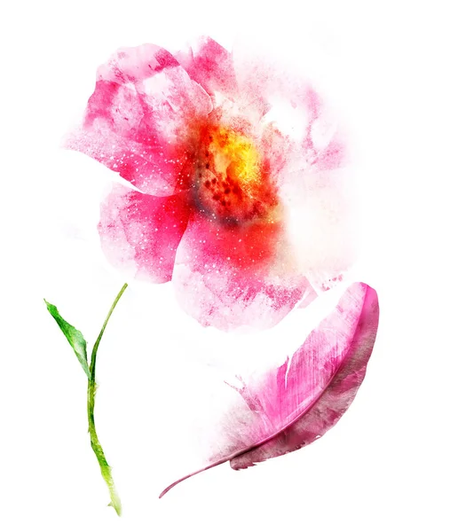 Akvarell Virág Toll Elszigetelt Fehér Háttér — Stock Fotó