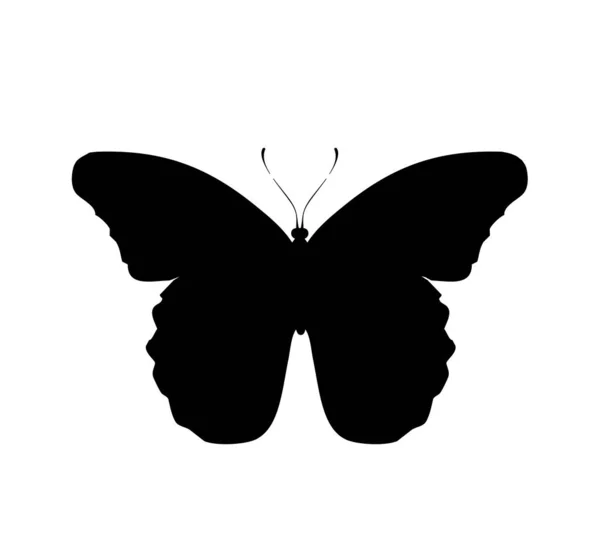 Butterfly Black Icon Isolated White Background — Stock Photo, Image