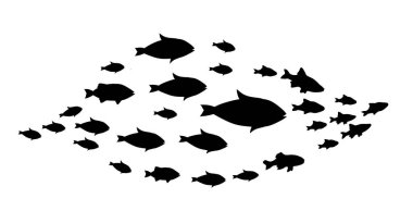 Beyaz üzerine balık gruplarının siluetleri. Vektör
