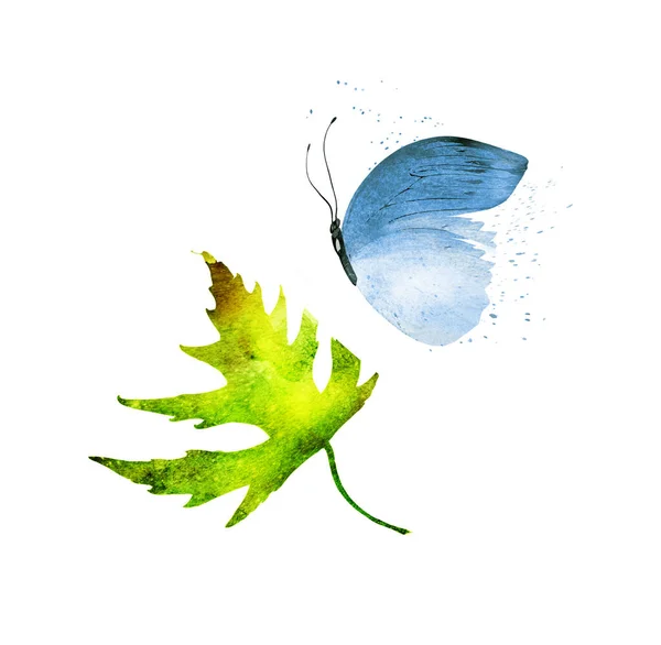 Акварельний Лист Метеликом Білому Тлі — стокове фото