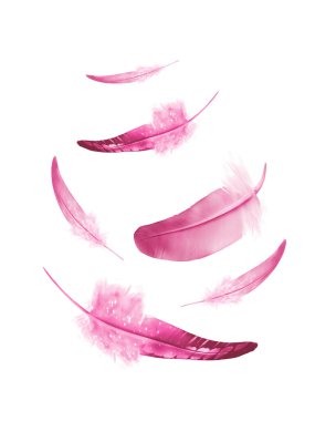 Beyaz arkaplanda izole edilmiş güzel renk tüyleri