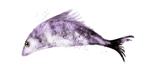 Poisson Aquarelle Sur Fond Blanc — Photo