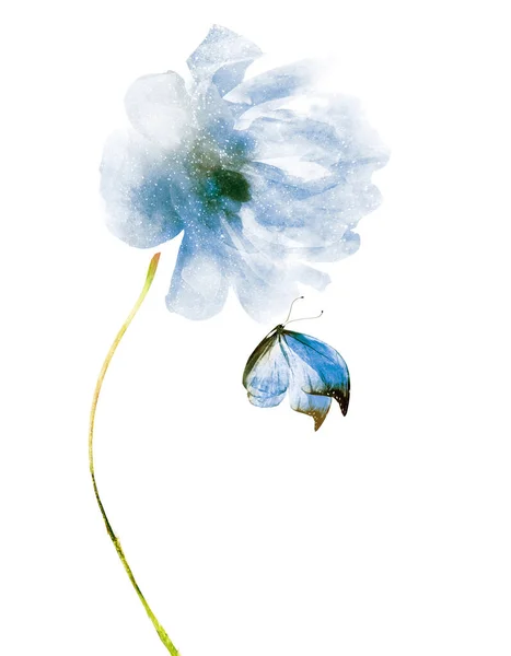 Flor Aquarela Com Borboleta Isolada Sobre Fundo Branco — Fotografia de Stock