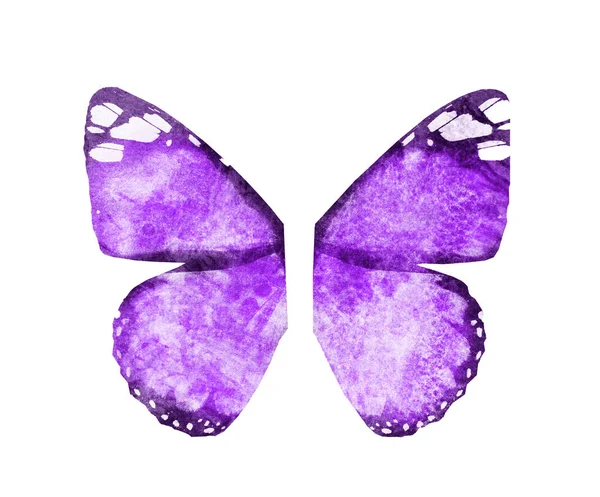 Watercolor Butterfly Wings Isolated White Background — Stock Photo, Image