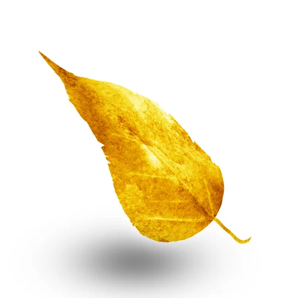 Frunză Acuarelă Fundal Alb — Fotografie, imagine de stoc