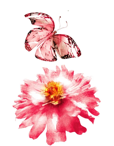 Flor Acuarela Con Mariposa Aislada Sobre Fondo Blanco —  Fotos de Stock
