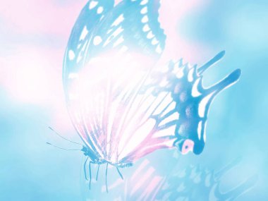 Doğal arkaplan ve doğal kelebek