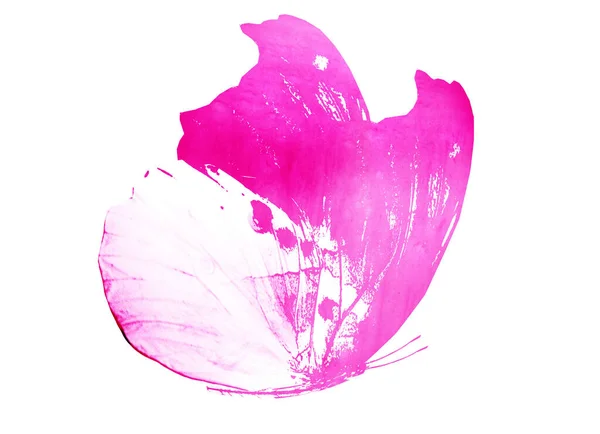 Färg Akvarell Abstrakt Fjäril Som Avtryck Isolerad Vit Bakgrund — Stockfoto