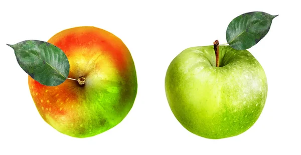 Kleur Appels Witte Achtergrond — Stockfoto