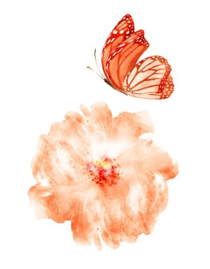 Kelebekli suluboya çiçek, beyaz arka planda izole