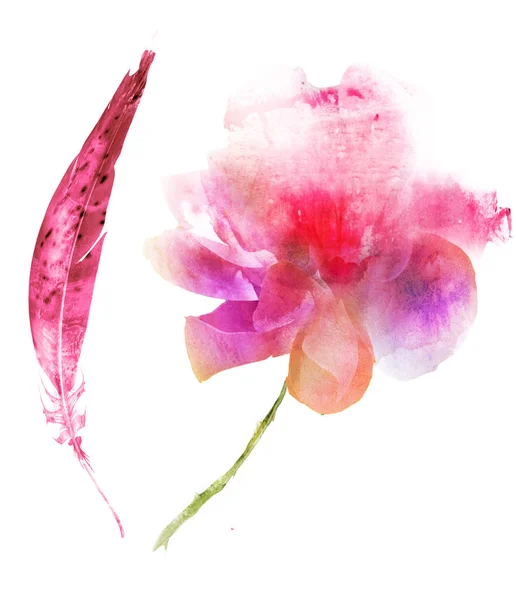 Акварельный Цветок Перо Изолированные Белом Фоне — стоковое фото