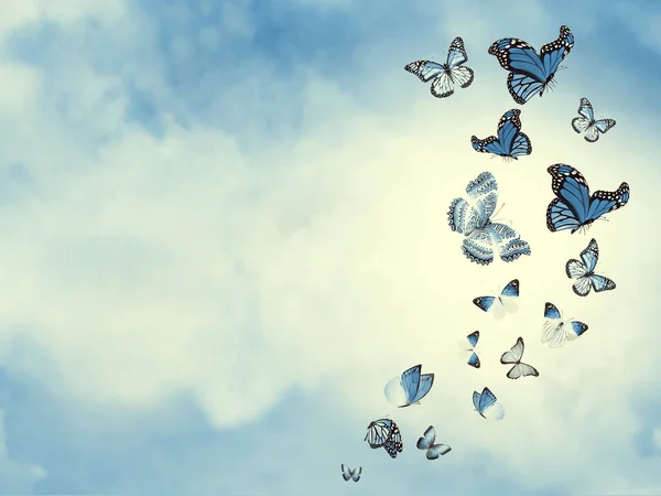 Céu Colorido Com Nuvens Borboletas Como Fundo — Fotografia de Stock