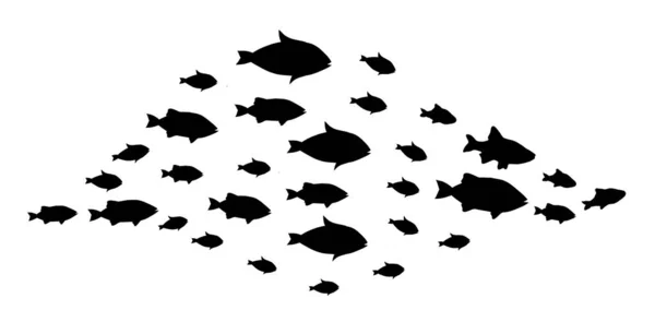 Silhouetten Von Fischgruppen Auf Weißem Grund — Stockfoto