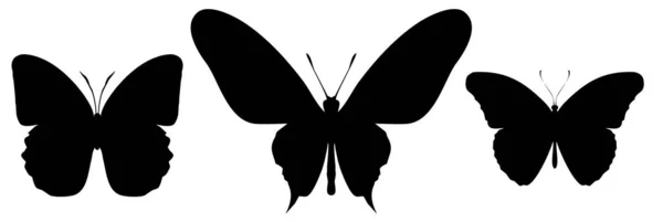 Drei Schwarze Schmetterlinge Isoliert Auf Weißem Hintergrund — Stockfoto