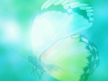 Doğal arkaplan ve doğal kelebek