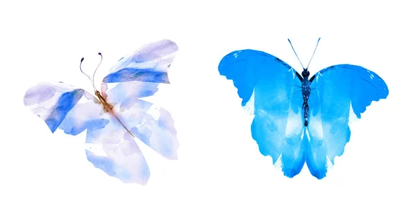 Dos Mariposas Acuarela Aisladas Sobre Fondo Blanco Colección Brillante —  Fotos de Stock