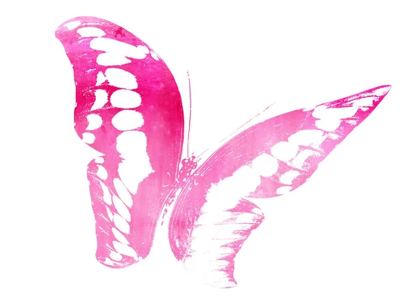 Color Acuarela Mariposa Abstracta Como Impresión Aislado Sobre Fondo Blanco — Foto de Stock