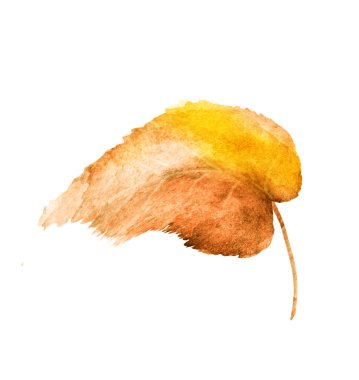 Beyaz arkaplanda suluboya yaprağı