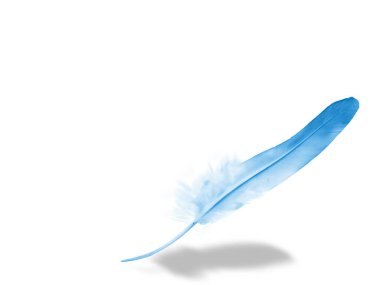 Beyaz arkaplanda izole edilmiş güzel renk tüyü