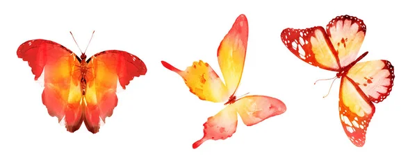 Drei Aquarell Schmetterlinge Isoliert Auf Weißem Hintergrund — Stockfoto