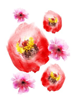 Grup olarak suluboya çiçekler, beyaz arkaplanda izole